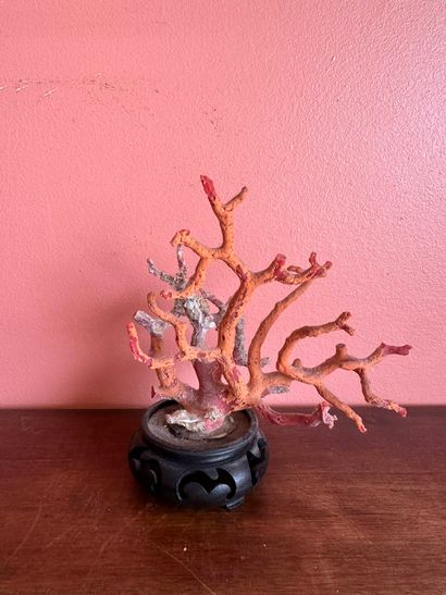 Coral branch 
11.5 x 13.5 x 8 cm (disintegrating...