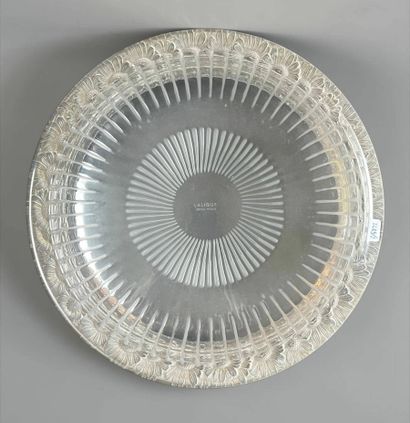 LALIQUE France 
Marguerites large bowl in...