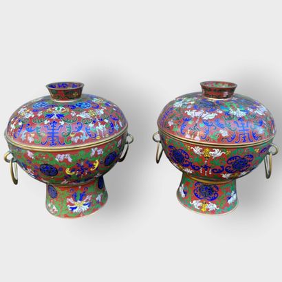 Pair of covered pots with cloisonné enamel...