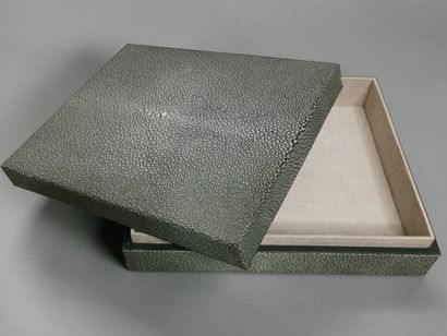 Rectangular box in green shagreen.
7 x 25.5...