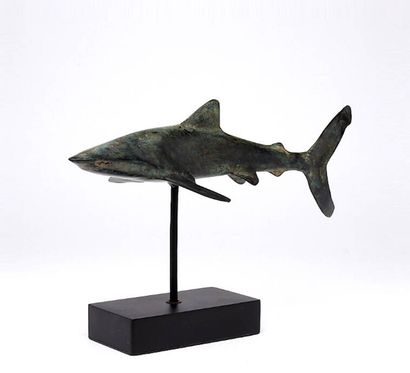 Contemporary work
Great white shark
Animal...