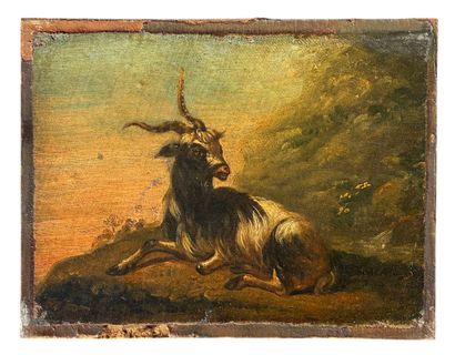 Rudolf KOLLER (1828-1905), Attributed to
Goat
Oil...