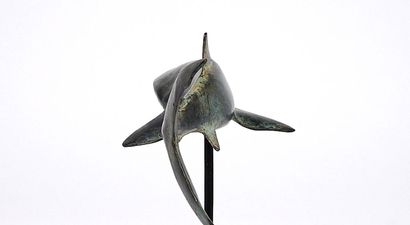 Contemporary work
Great white shark
Animal...