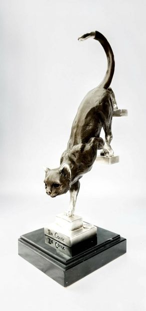 Contemporary work
Cat descending steps
Proof...