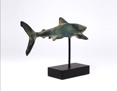 Contemporary work
Great white shark
Animal...