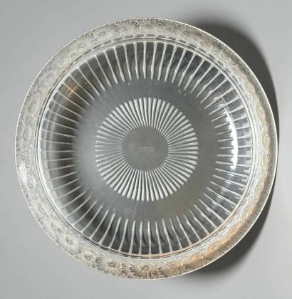 LALIQUE France 
Marguerites large bowl in...