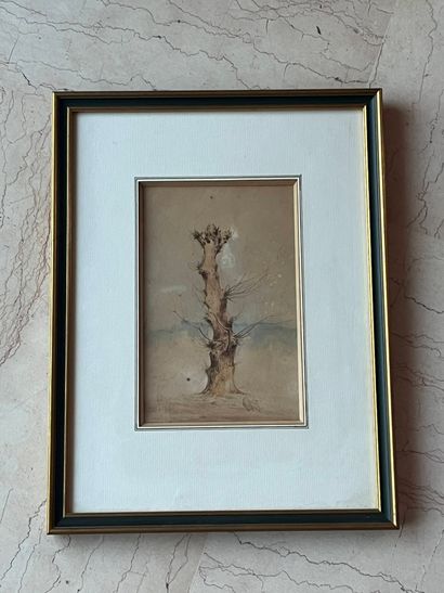19th century school
Tree in winter.
Watercolor
18...