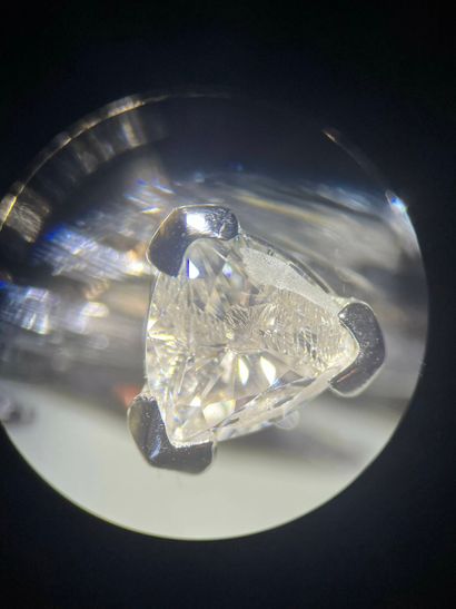 Brooch in 750 °/°° (18 k) white gold with...