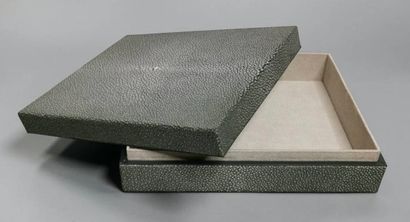Rectangular box in green shagreen.
7 x 25.5...