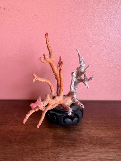 Coral branch 
11.5 x 13.5 x 8 cm (disintegrating...