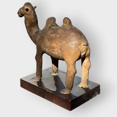 China, Tang style
Mingqi in terra cotta with...