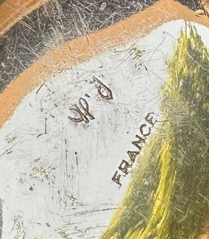 Lot de 10 galets presse-papier et une pomme...