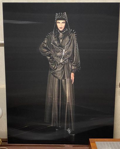 Cécile PLAISANCE (1968)
Gothic woman - 2018
Impression...