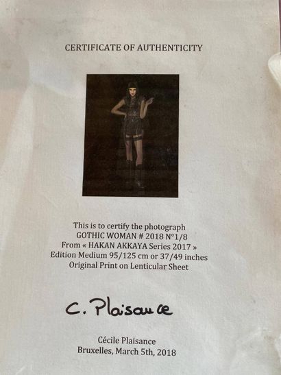 Cécile PLAISANCE (1968)
Gothic woman - 2018
Impression...