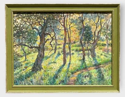 Emile CLAUS (1849–1924) 
Forest Landscape
Pastel....