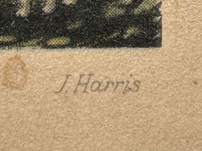 Engraving by Henry Thomas I ALKEN (1785–1851)
Hound...