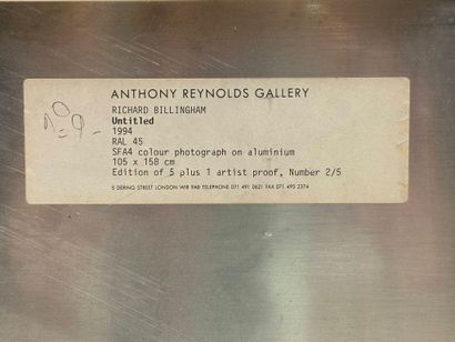Richard BILLINGHAM (1970)
Sans titre - 1994
Photographie...