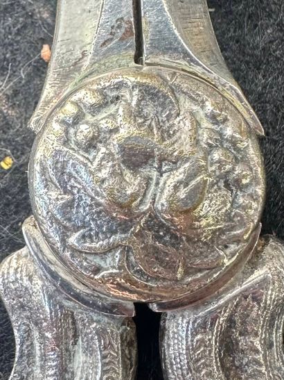 Paire de ciseaux à raisin en bronze argenté
L....