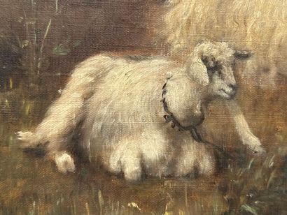 F. BARRY
Sheep in a Meadow
Oil on canvas....