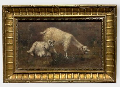 F. BARRY
Sheep in a Meadow
Oil on canvas....