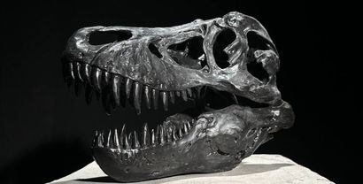 Tête de tyrannosaure
Sculpture en composite.
L....