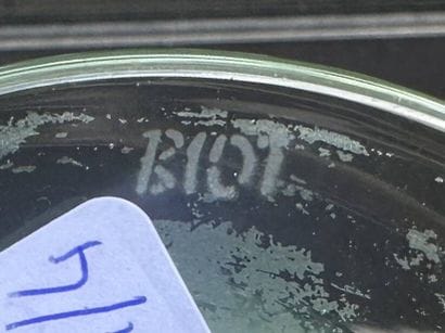 BIOT 
Lot de verrerie en verre bullé comprenant...