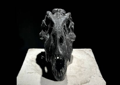 Tête de tyrannosaure
Sculpture en composite.
L....