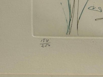 Set of two framed pieces, including: 
- Salvador...