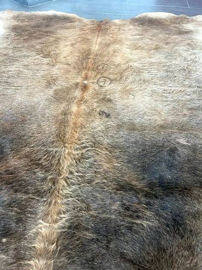 Tapis en peau de vache, avec des nuances...