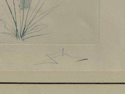 Set of two framed pieces, including: 
- Salvador...