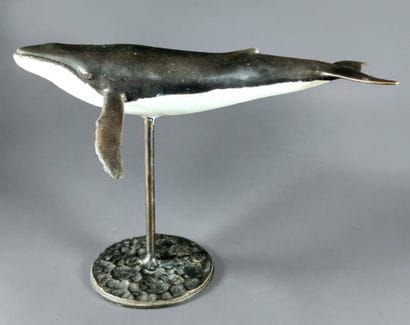 RUCHOS (XXe-XXIe siècle)
Ocean — Baleine...