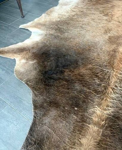 Tapis en peau de vache, avec des nuances...