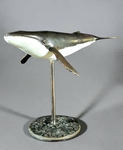 RUCHOS (XXe-XXIe siècle)
Ocean — Baleine...