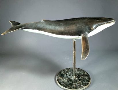 RUCHOS (XXe-XXIe siècle)
Ocean — Baleine...