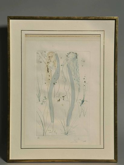 Set of two framed pieces, including: 
- Salvador...