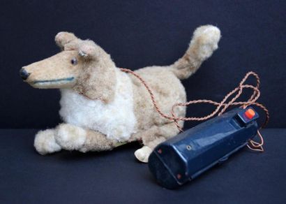 Automate petit chien 

10 x 20 cm 
