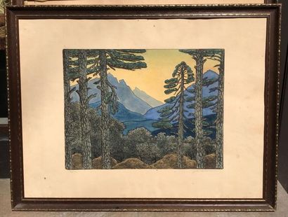 Guido COLUCCI (1877-1949)

Paysages corses

Deux...