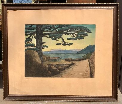 Guido COLUCCI (1877-1949)

Paysages corses

Deux...
