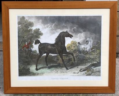 Carle VERNET (1758-1836)

Cheval échappé

Gravure...