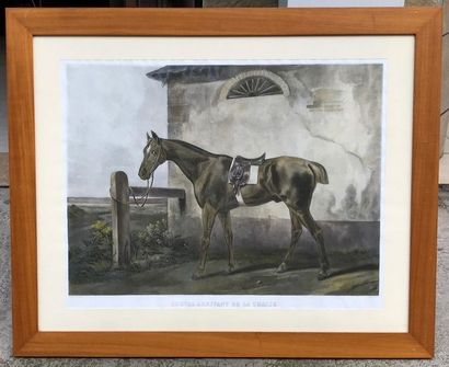 Carle VERNET (1758-1836)

Cheval arrivant...