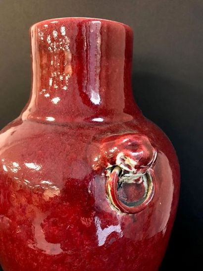 Vase sang de bœuf en porcelaine

Anses avec...