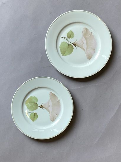 Celadon green bindweed porcelain dinner service...