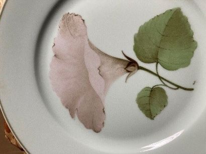 Celadon green bindweed porcelain dinner service...