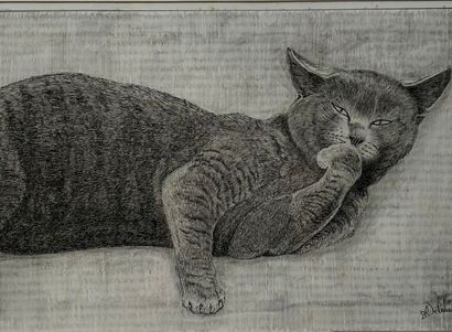 ECOLE CONTEMPORAINE - DELMAS 
Le chat
Paire...