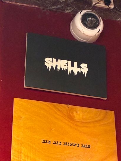 Damien MAZIERES (né en 1975)
Shells, 2009
Acrylique...