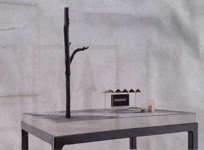 Andrea FOGARASI (né en 1977)
Budapest (Proposal...