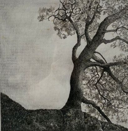 ECOLE CONTEMPORAINE - DELMAS 
L'arbre
Encre...