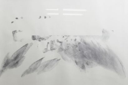 Masahide OTANI (Né en 1982)
Une paix traduite...
