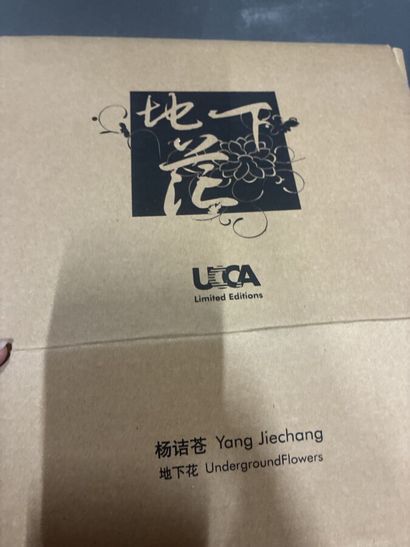 YANG Jiechang (né en 1956)
Underground Flowers
Fragment...