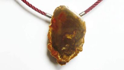 Anna TABAKHOVA
Collier orné d'un bois fossile...
